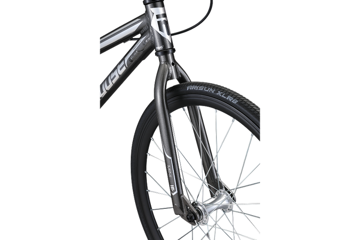 Title Mini Mongoose International