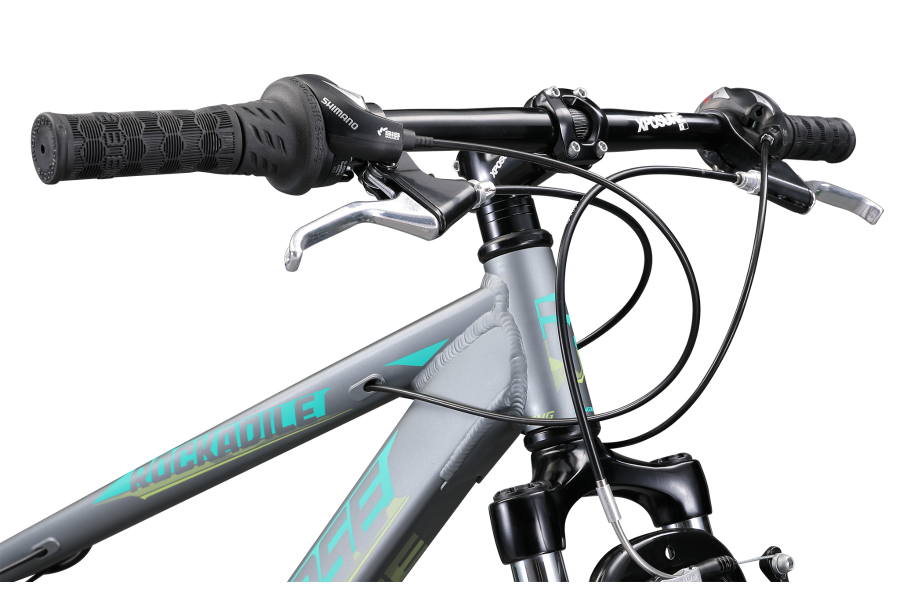 Rockadile 24 Girl s Mongoose International