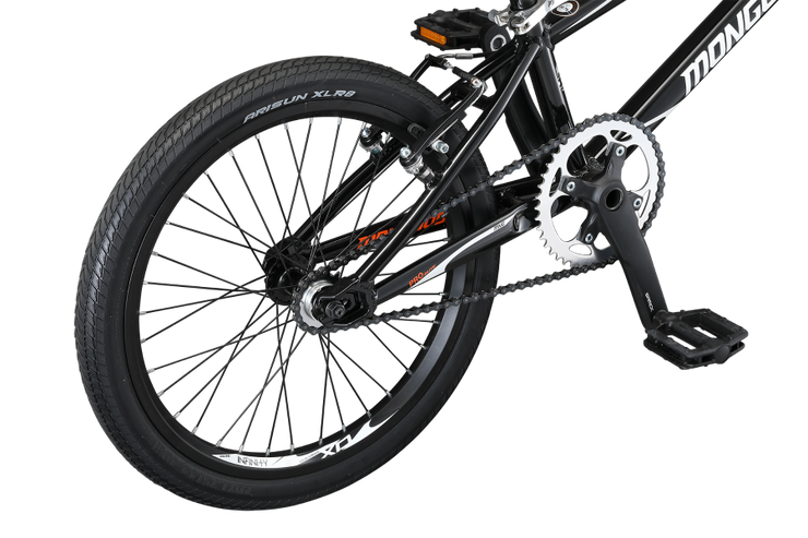 Mongoose 2024 pro bike