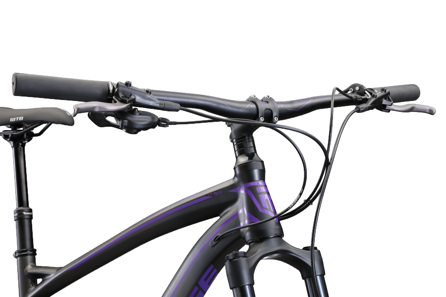 Mongoose salvo expert sale