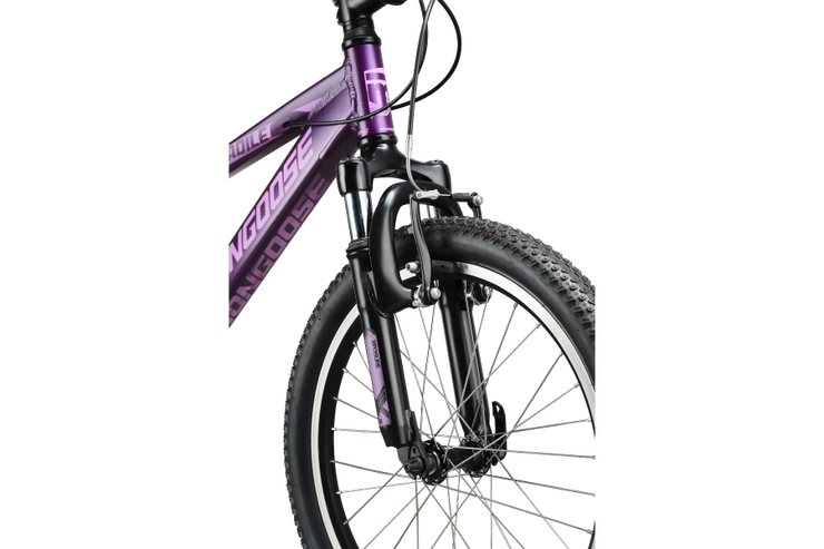 Mongoose bike online 20 inch girl