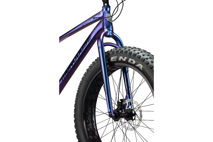 Mongoose argus fat tire top bike